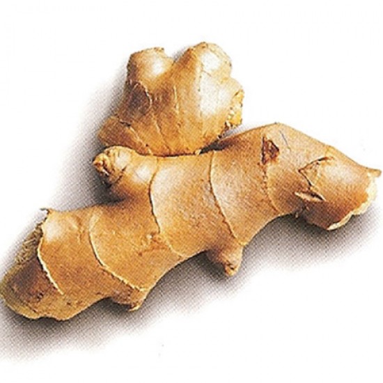 Ginger - 薑