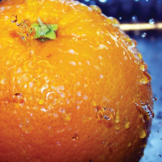 Orange Sweet - 香橙